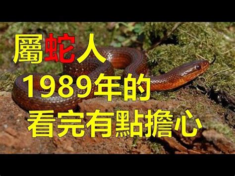 1989 屬|【1989 屬】1989屬蛇終極指南：壽命揭秘、最佳配對、轉運秘訣。